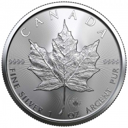 Stříbrná mince 1 Oz Maple Leaf 50ks (2 tubusy a více)