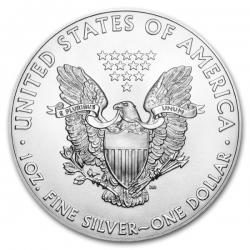 Stříbrná mince 1 Oz American Silver Eagle 40 ks (2 tubusy a více)