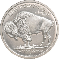 Stříbrná mince 2 Oz American Silver Buffalo