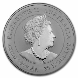 Stříbrná mince Lunar III, 1000g Rok králíka 2022/Year of the Rabbit